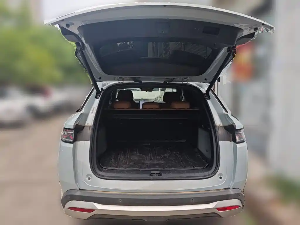 BYD Song L DM-i 2024 — фото 10