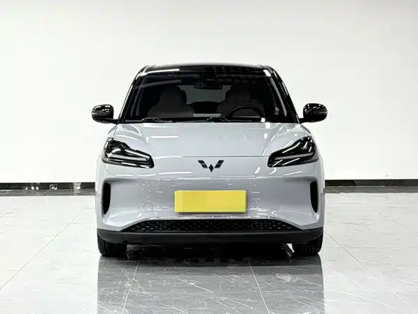 Wuling Bingo PLUS 2024