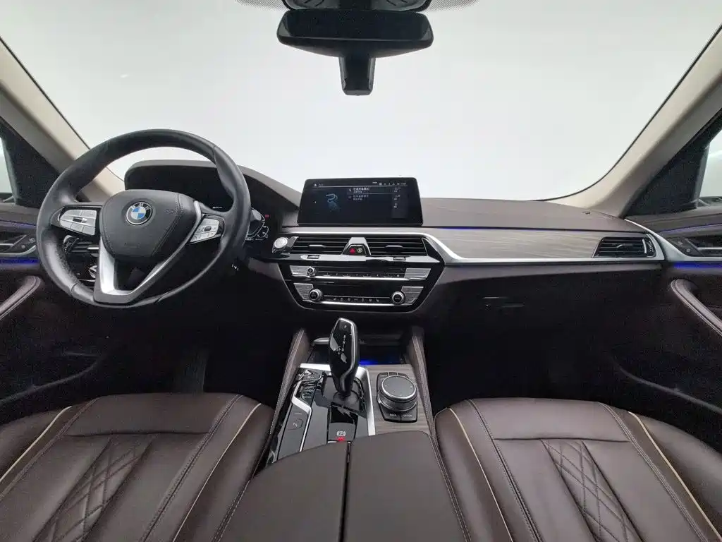 BMW 5 Series New Energy 2020