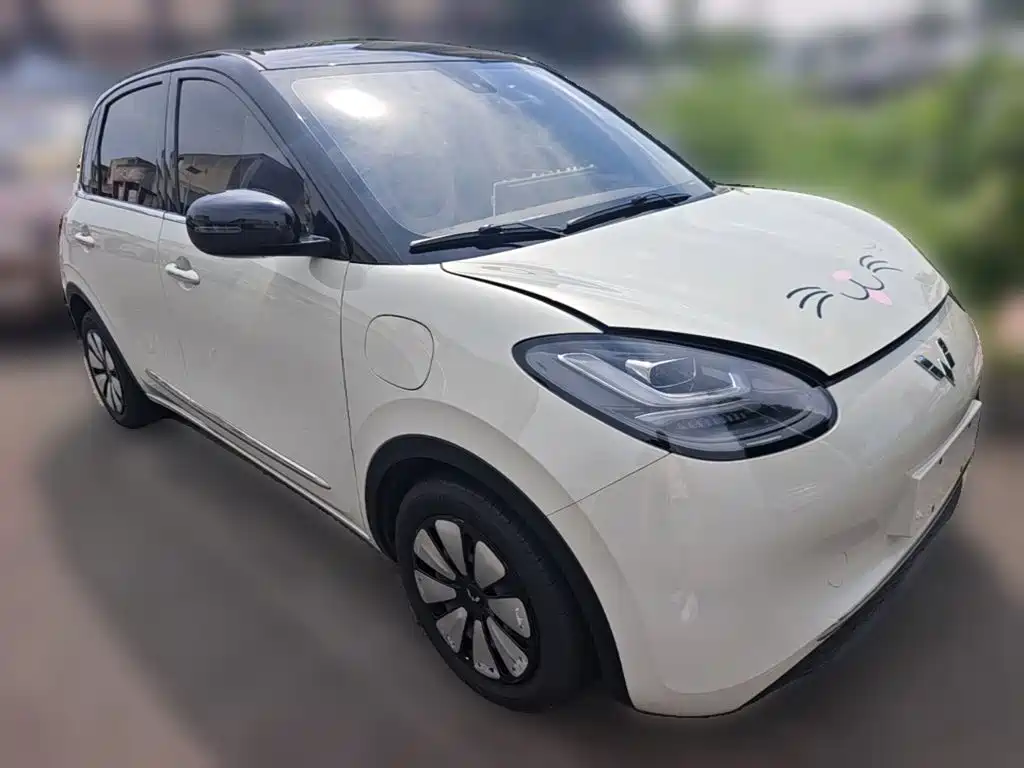Wuling Bingo 2023