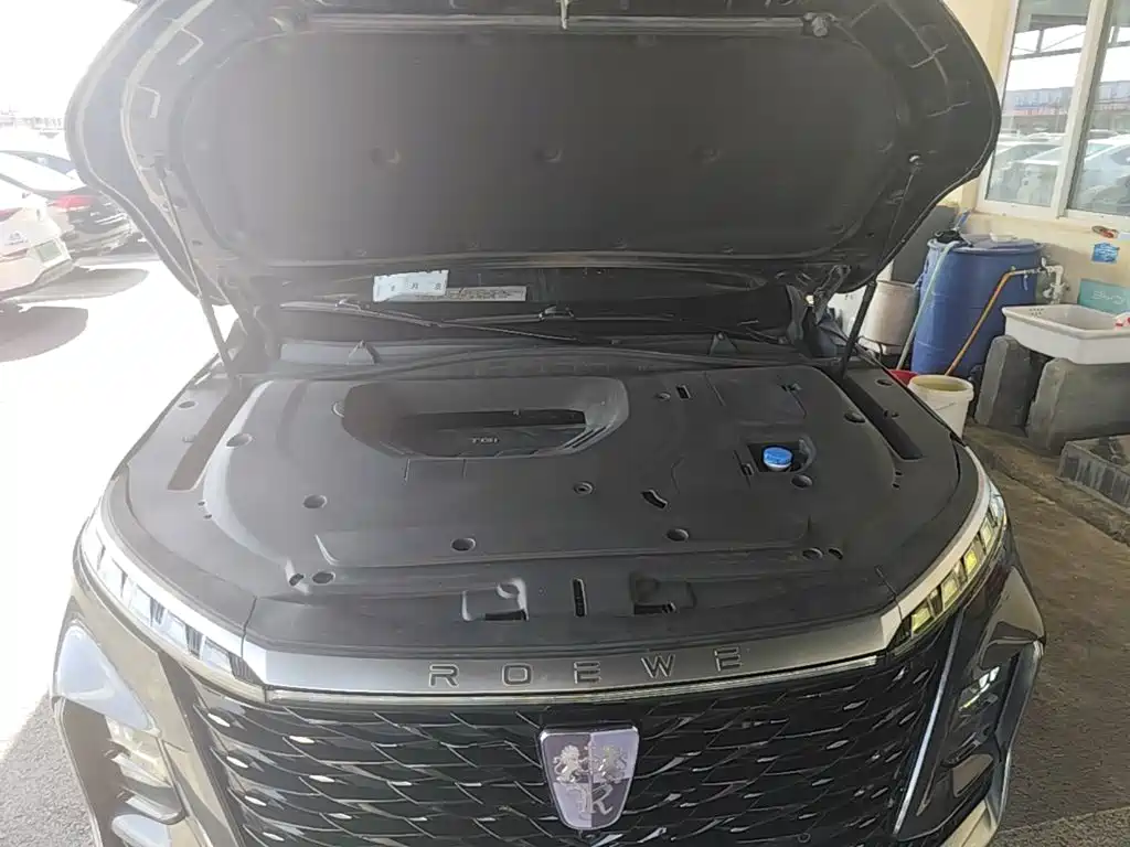 Roewe RX5 MAX 2022 — фото 20