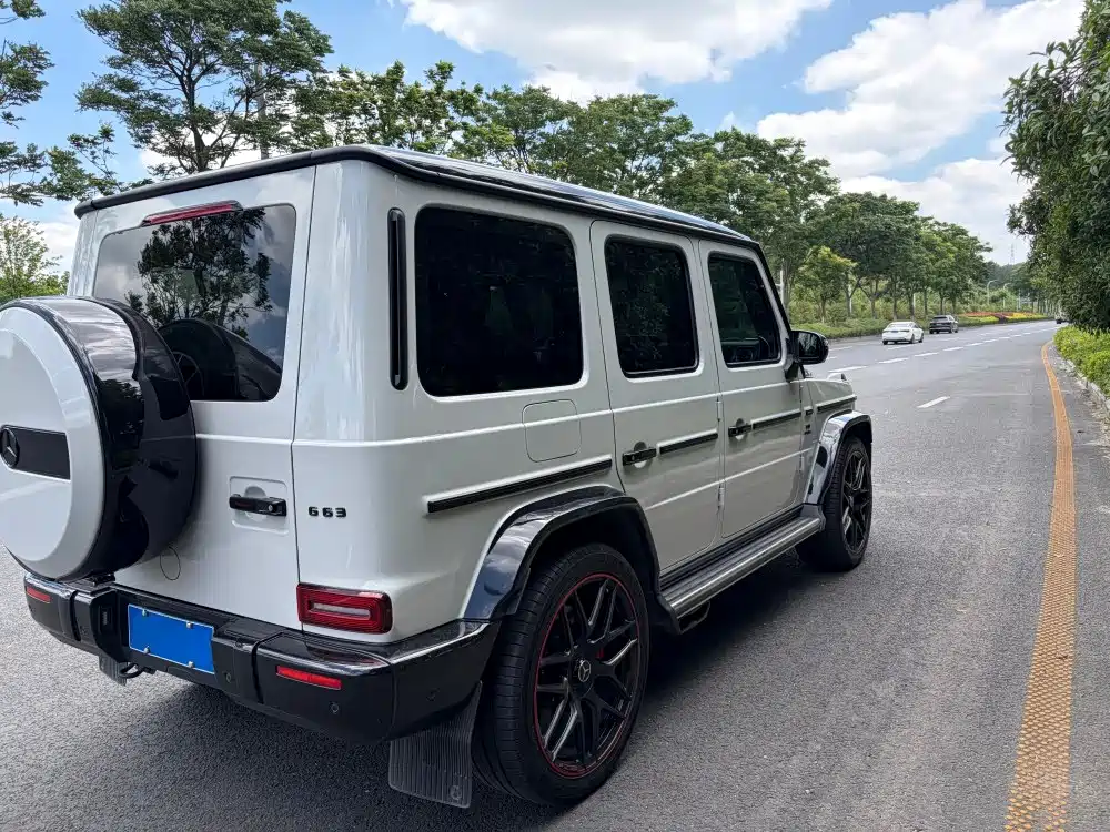 Mercedes-Benz G-Class AMG 2019 — фото 14