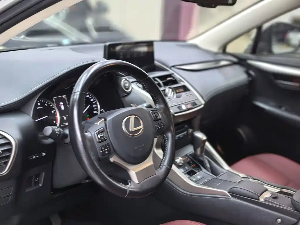 Lexus NX 2019 — фото 12
