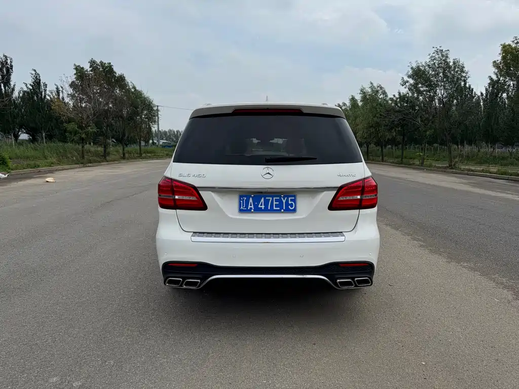 Mercedes-Benz GLS 2017 — фото 8