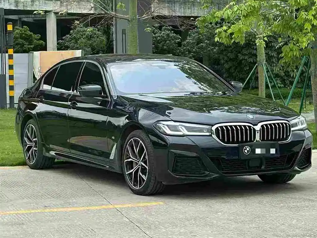 BMW 5 Series 2021