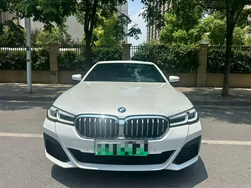 BMW 5 Series New Energy 2020