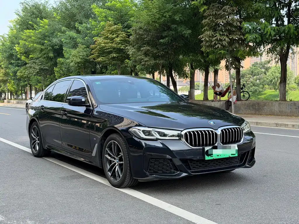 BMW 5 Series New Energy 2021