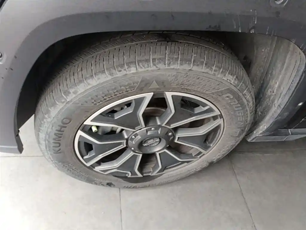 Haval Dargo PLUS EV 2023 — фото 25