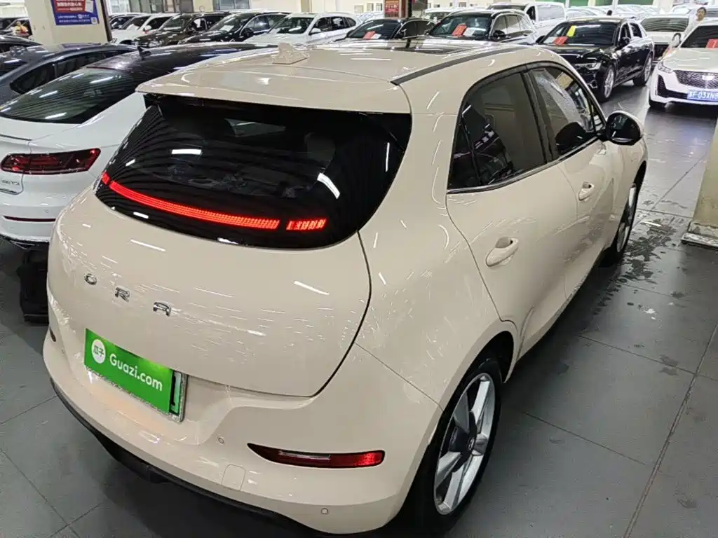 Ora Good Cat 2024