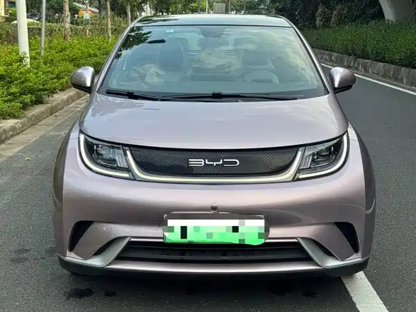 BYD Dolphin 2022