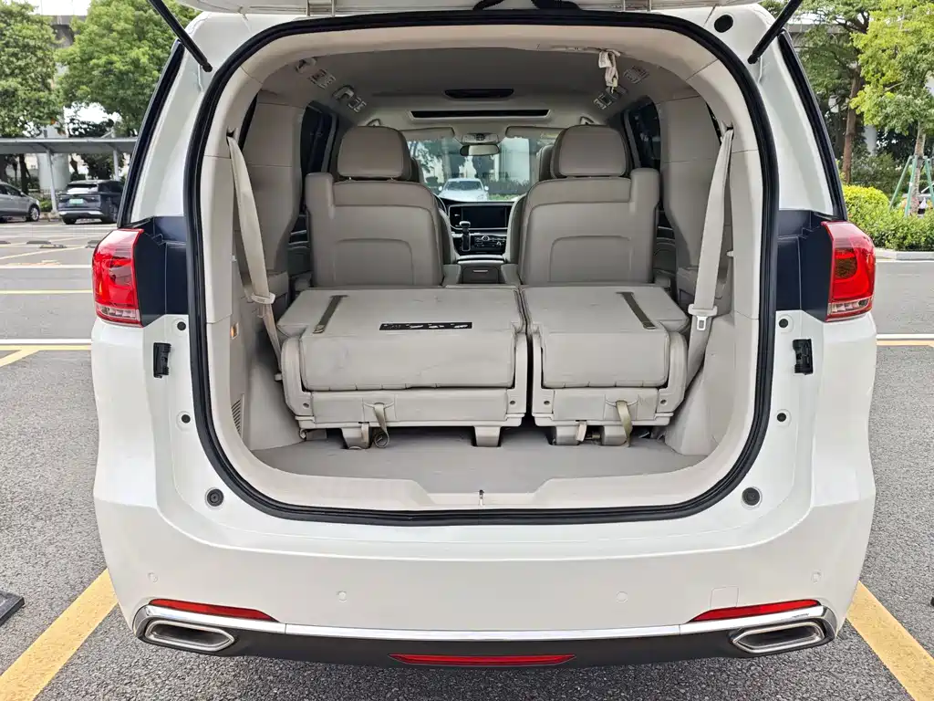 GAC Trumpchi M8 2019 — фото 21