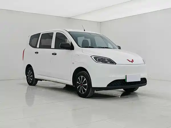 Wuling Hongguang New Energy 2025