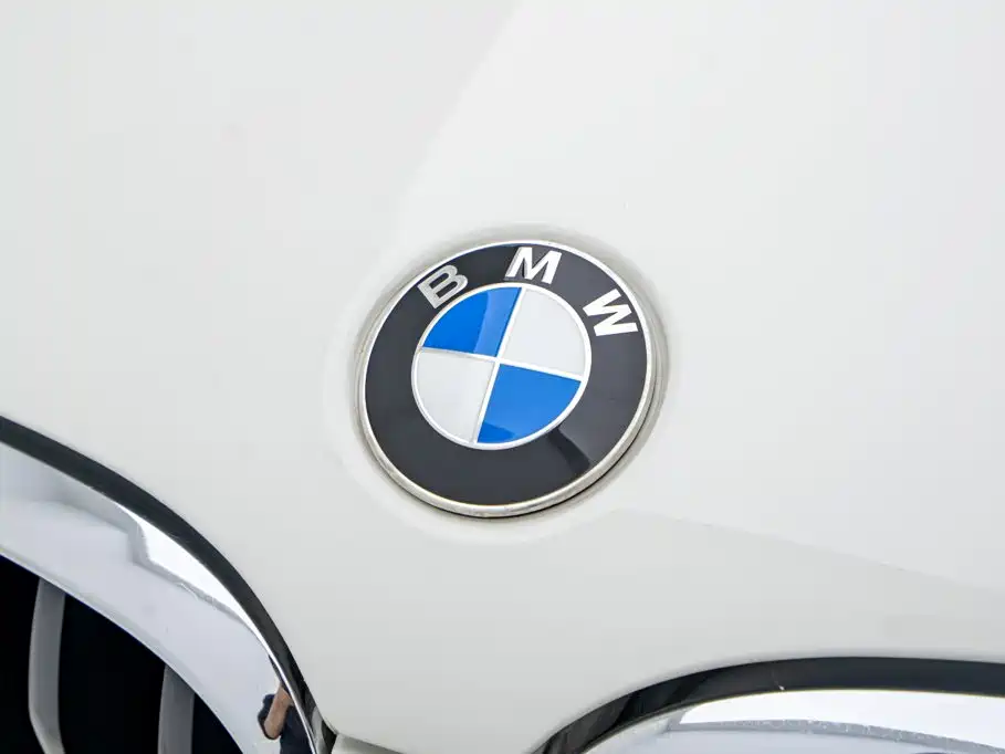 BMW X4 2020 — фото 26