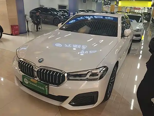 BMW 5 Series New Energy 2022