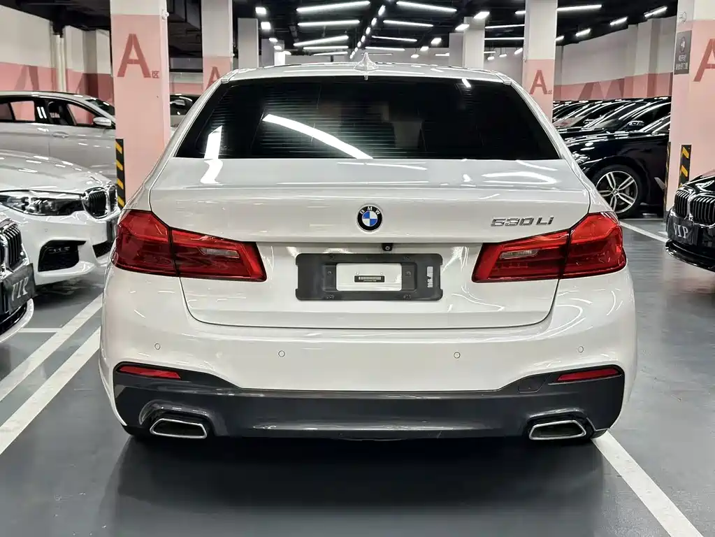 BMW 5 Series 2019 — фото 10