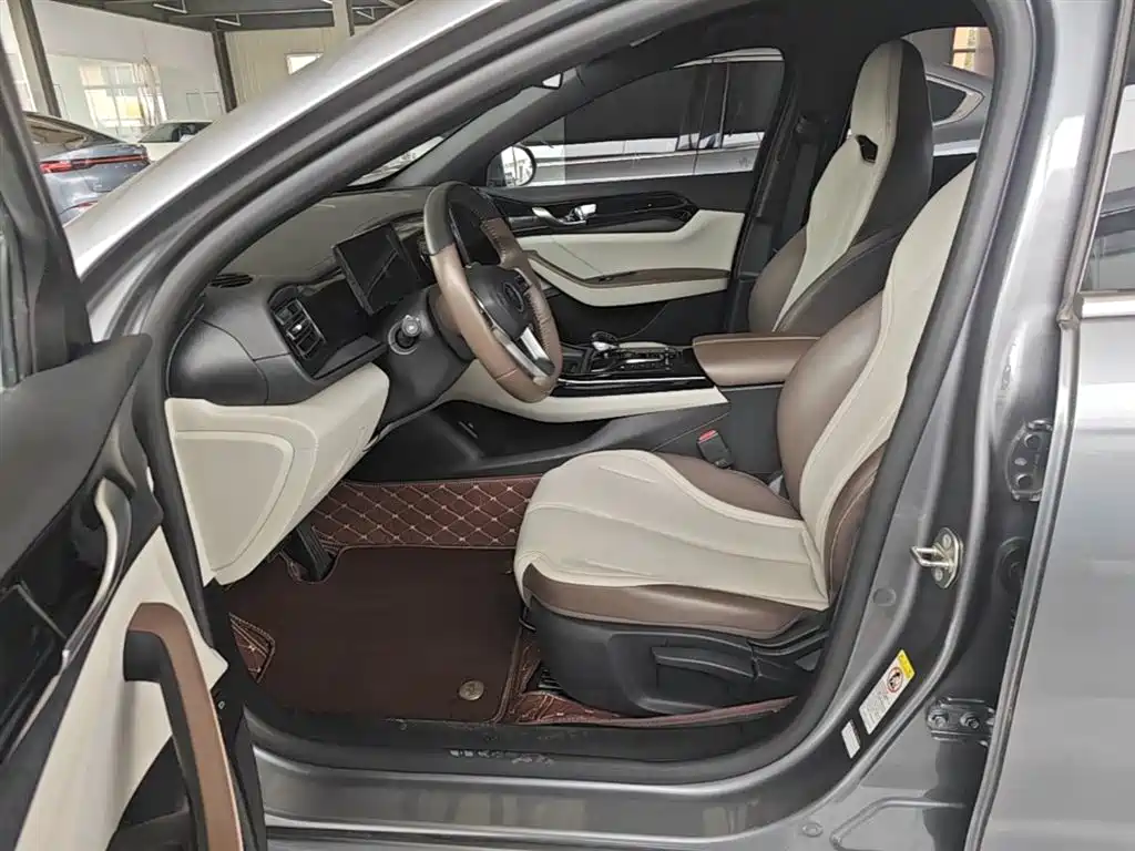BYD Qin PLUS 2023 — фото 16