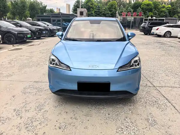 Neta V 2021