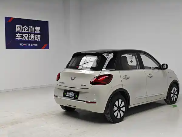 Wuling Bingo 2024
