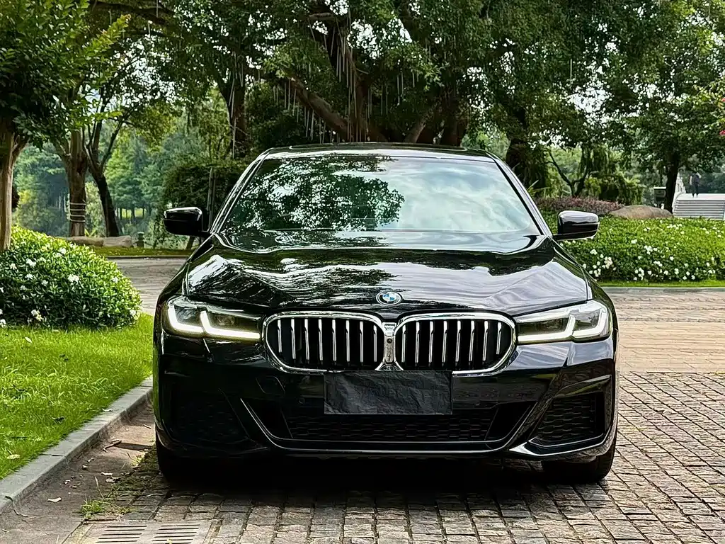 BMW 5 Series 2021