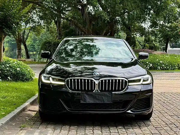 BMW 5 Series 2021