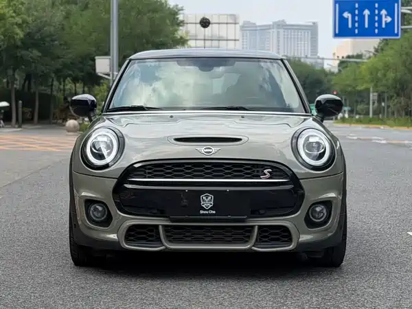 MINI MINI 2020