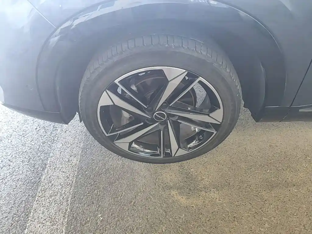 Roewe RX5 MAX 2022 — фото 23