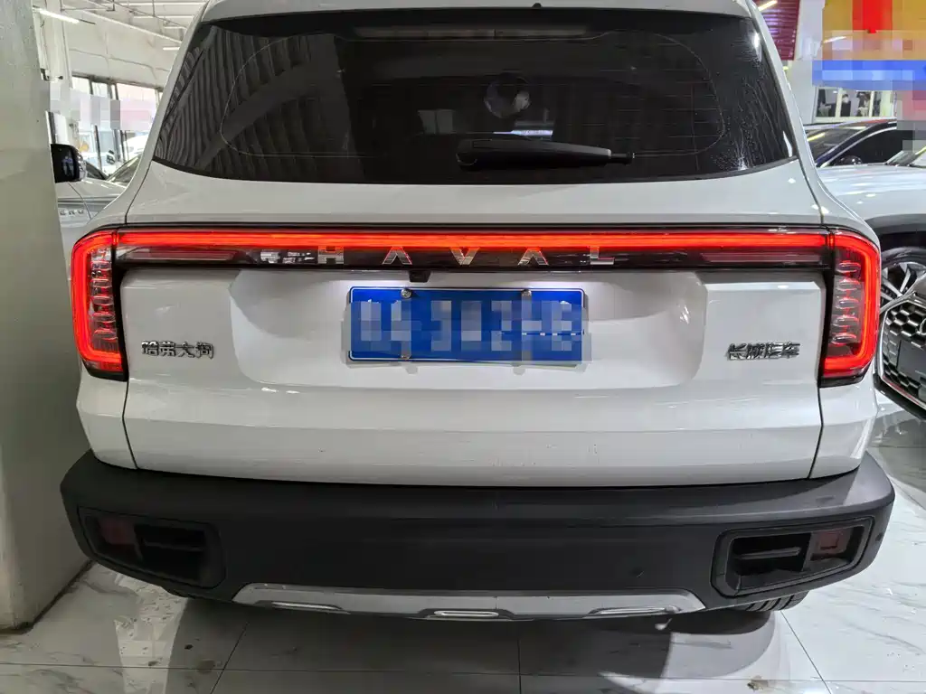 Haval Big Dog 2024