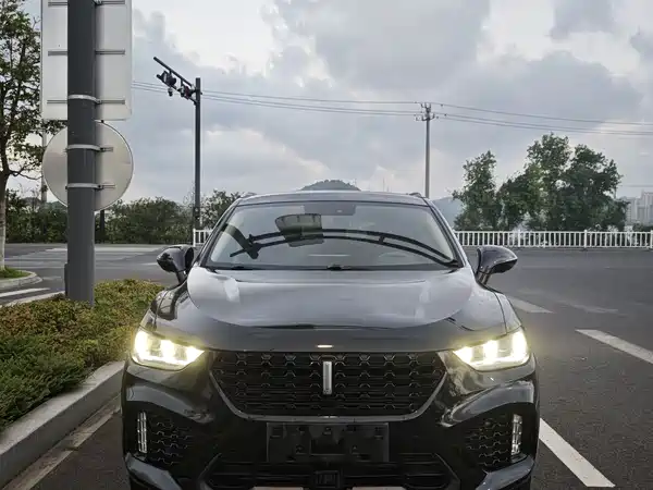 Wey VV5 2019