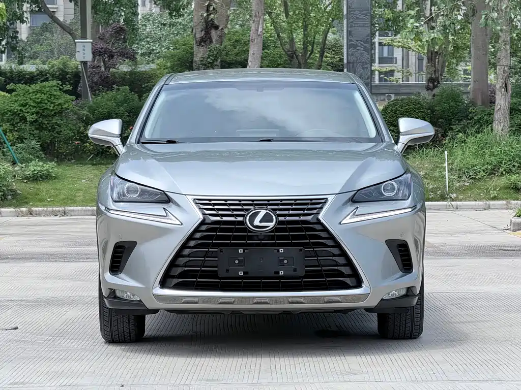 Lexus NX 2019 — фото 2
