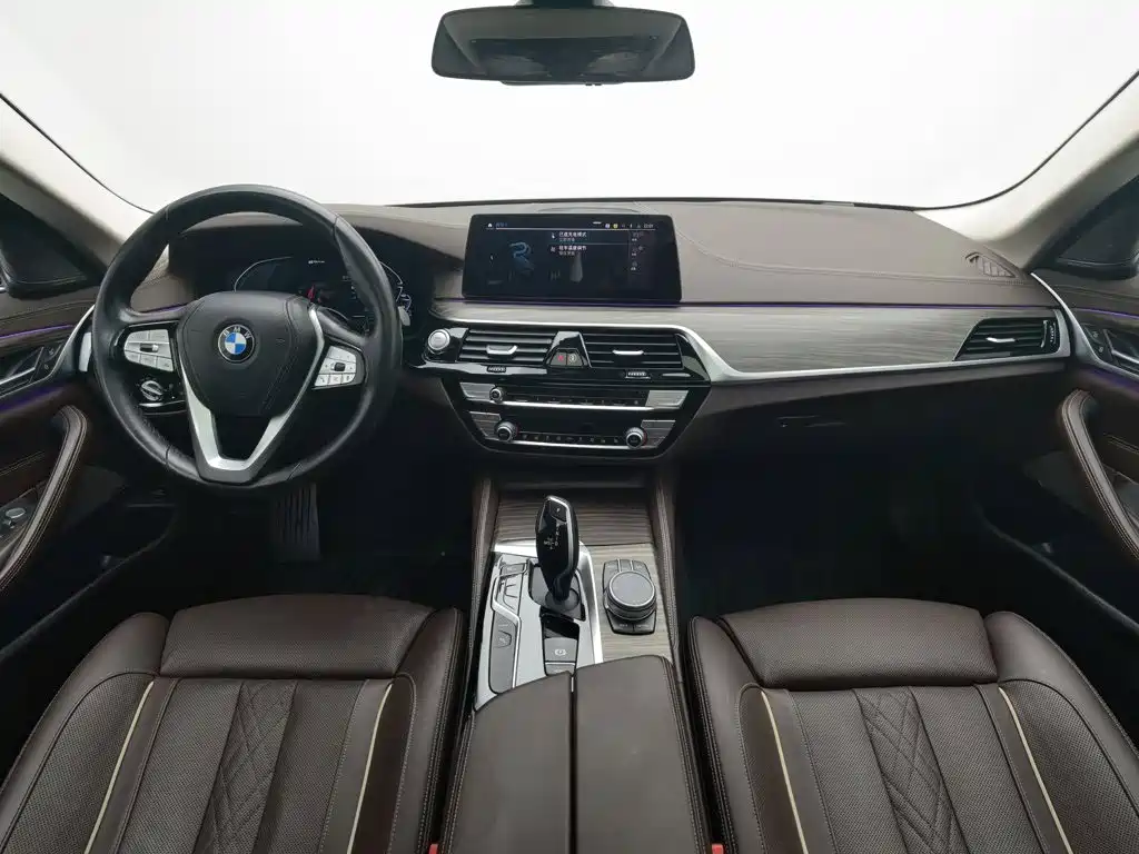 BMW 5 Series New Energy 2020