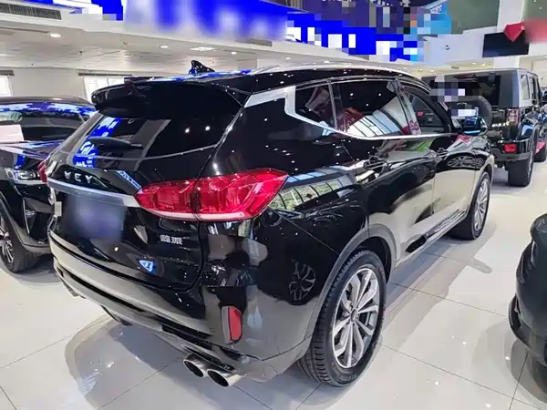 Wey VV6 2019
