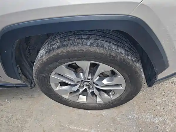 Toyota Wildlander 2020