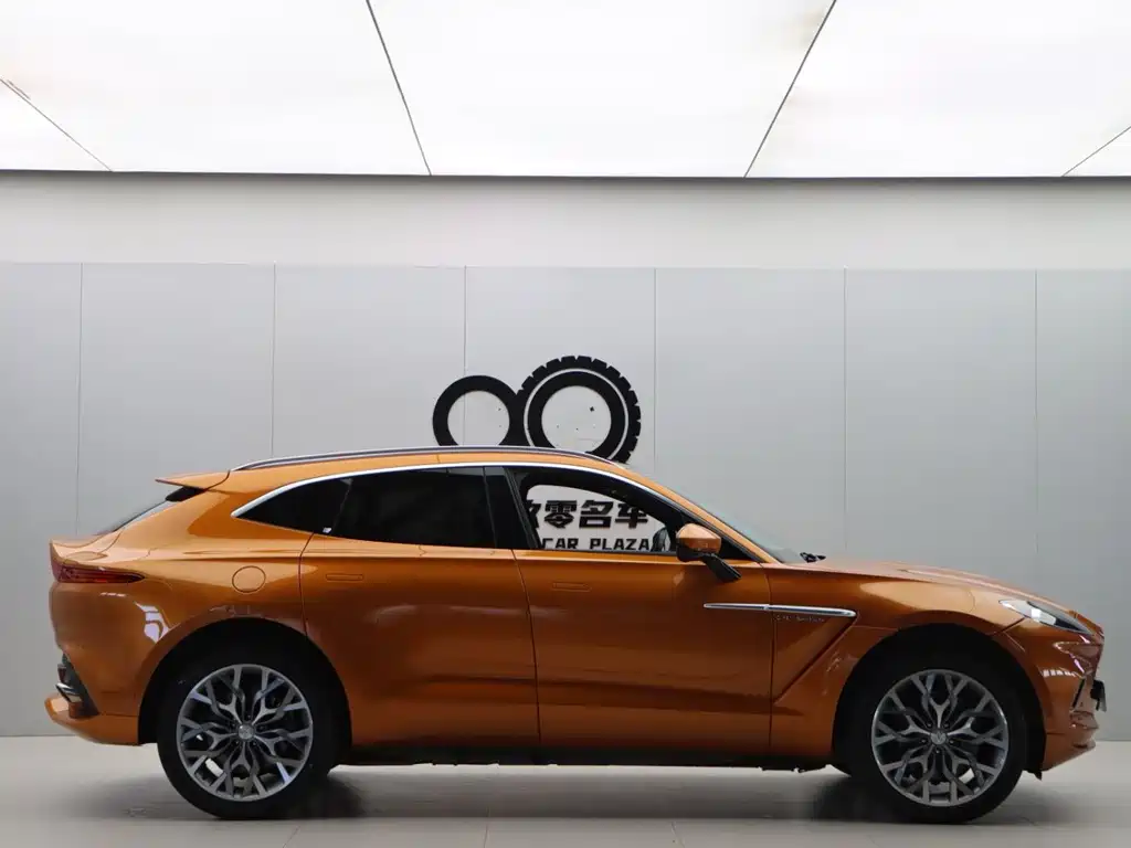 Aston Martin DBX 2022 — фото 28