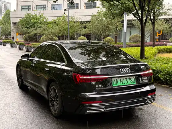Audi A6L New Energy 2021