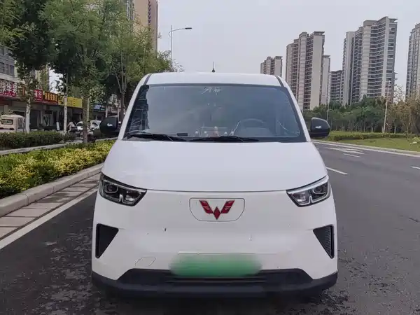 Wuling Yangguang 2024