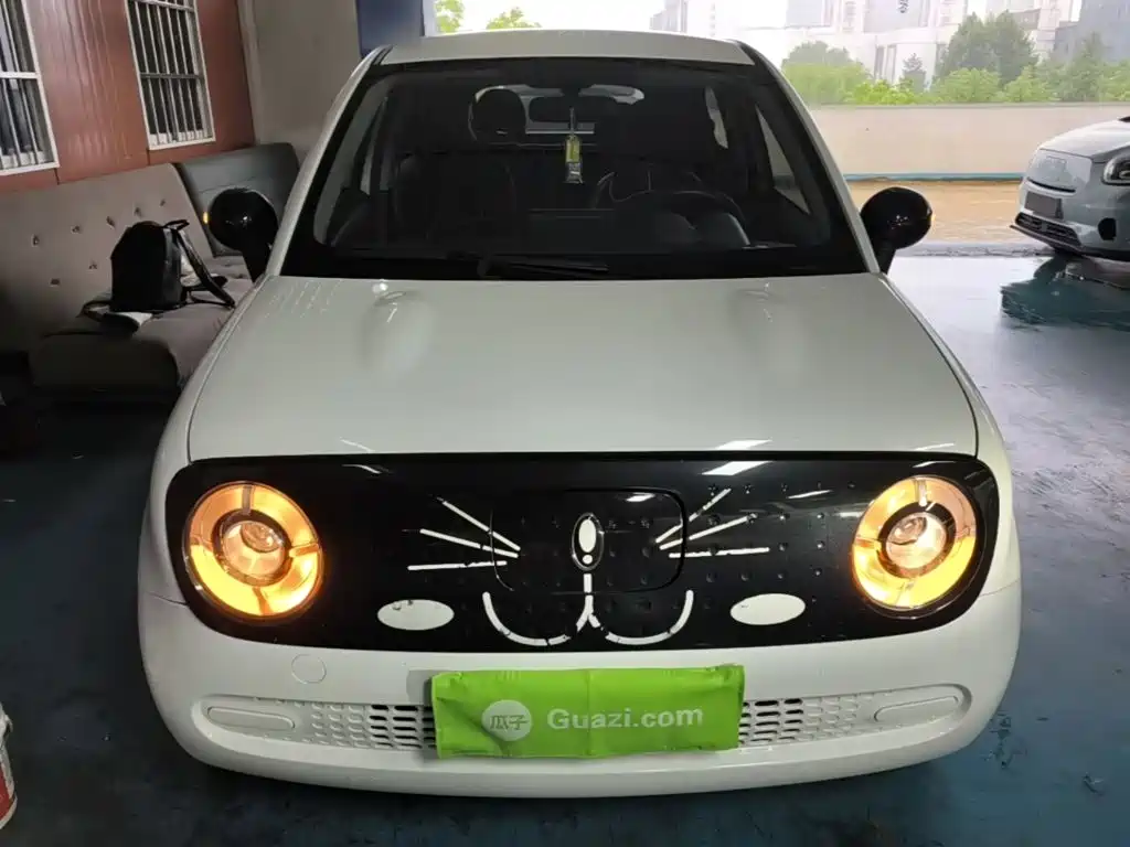 Ora Black Cat 2021