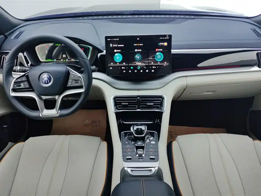 BYD PLUS New Energy 2023 — фото 12