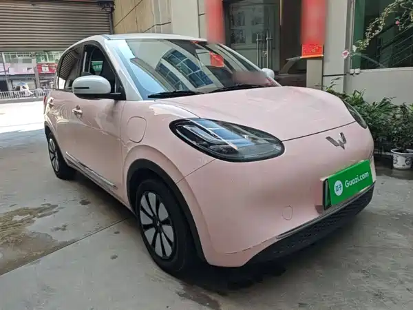 Wuling Bingo 2024