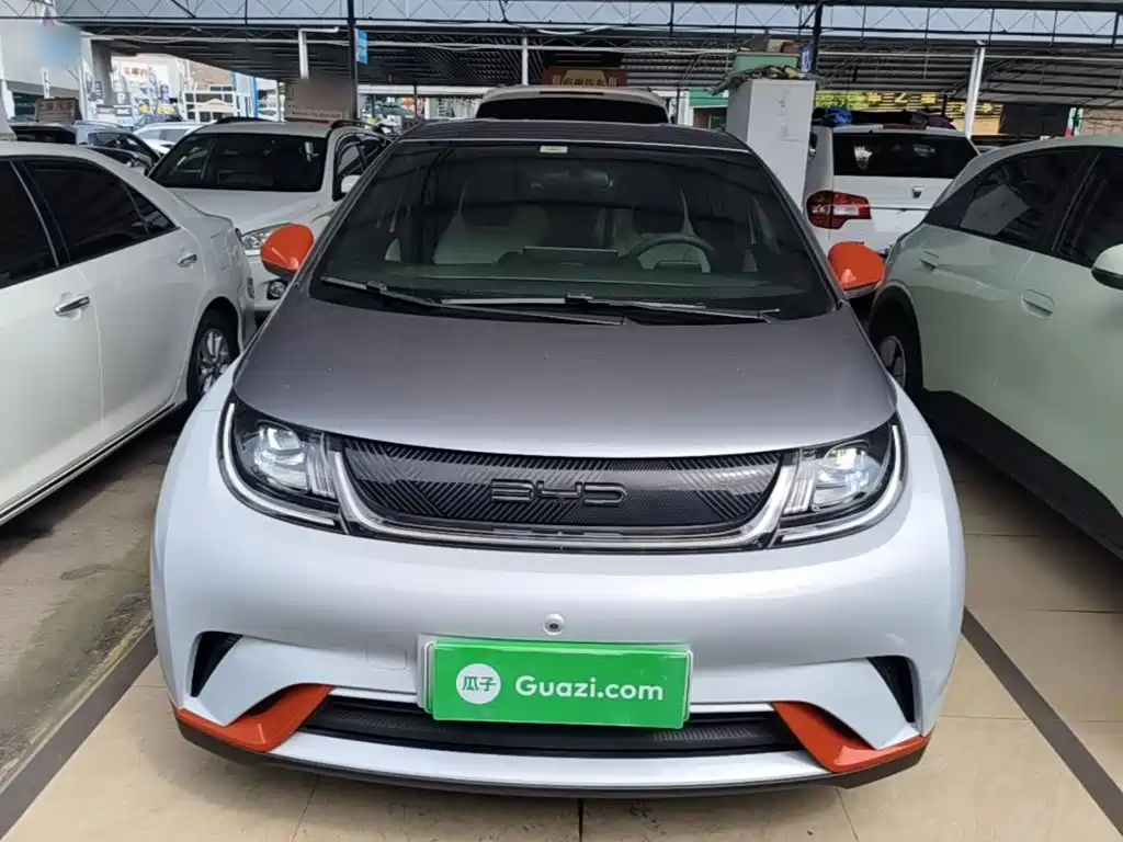 BYD Dolphin 2021