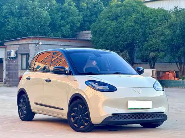 Wuling Bingo 2024