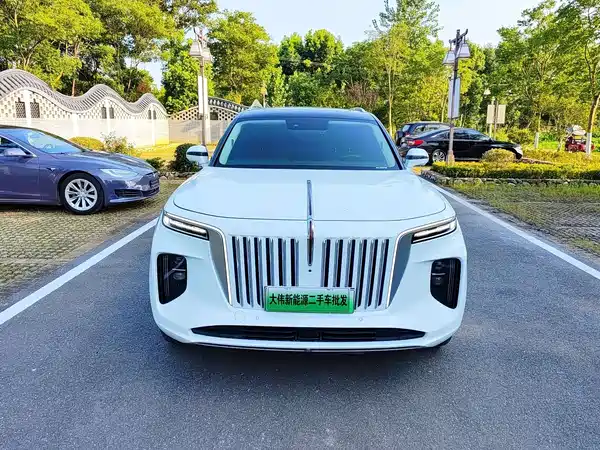 Hongqi E-HS9 2021