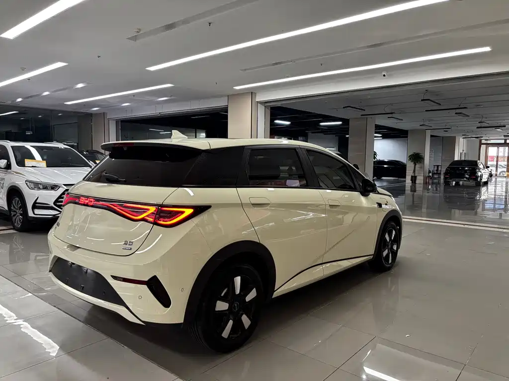 BYD Dolphin 2025