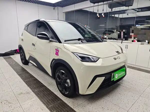 BYD Seagull 2024