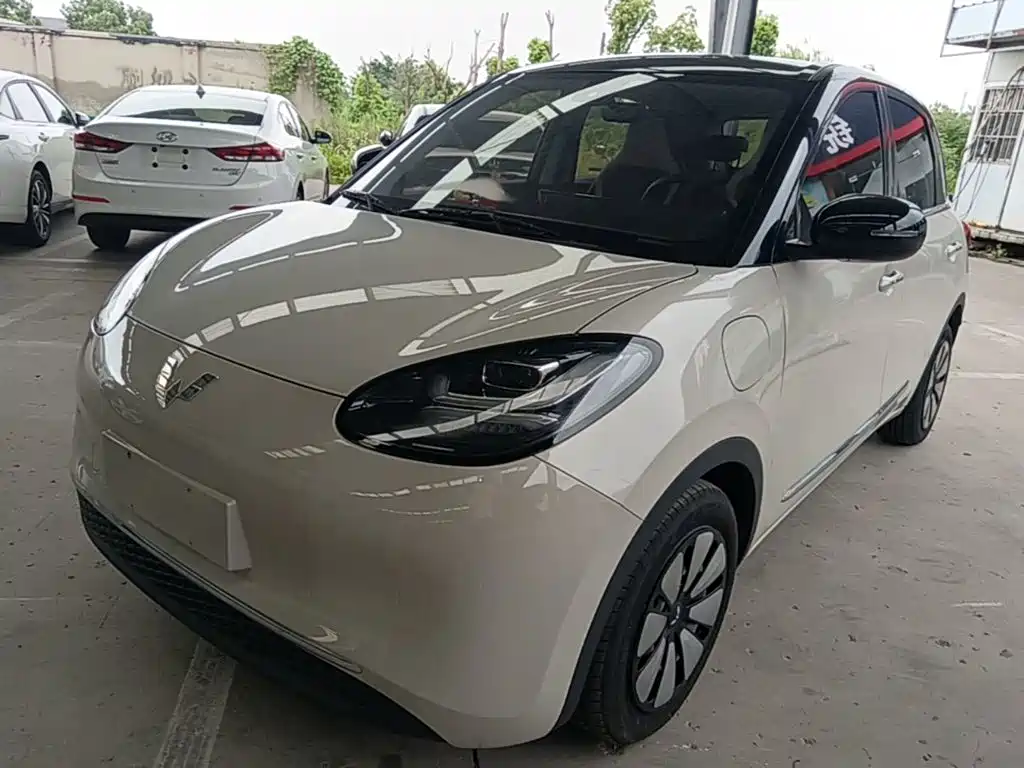 Wuling Bingo 2024