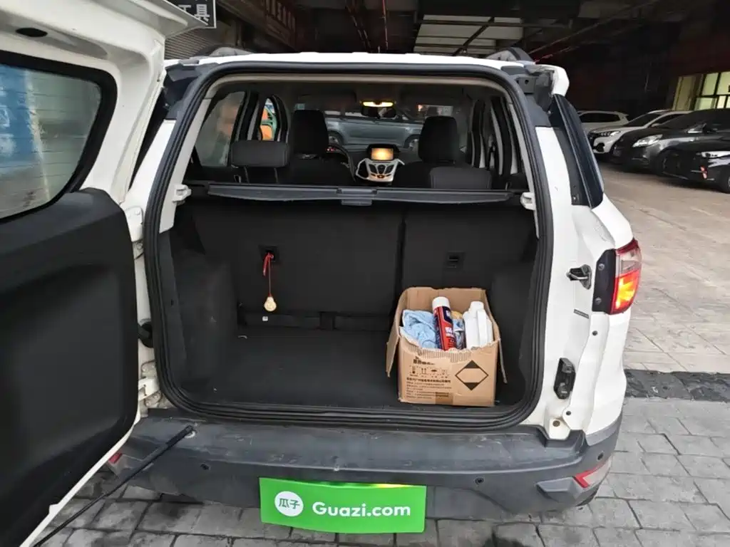 Ford EcoSport 2015 — фото 19