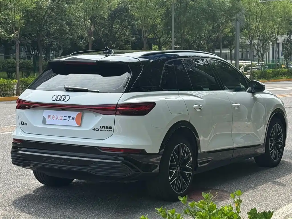 Audi Q5 E-Tron 2023 — фото 6