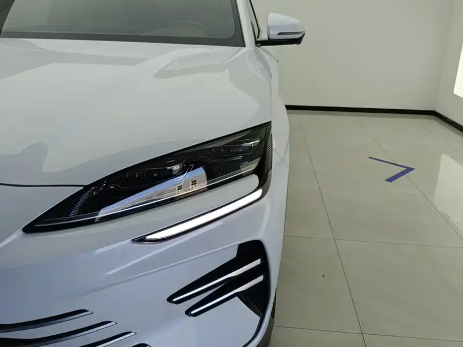 BYD Song PLUS New Energy 2025 — фото 5