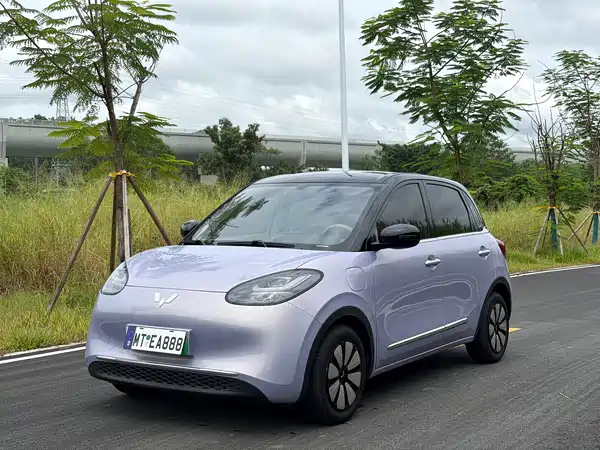 Wuling Bingo 2025