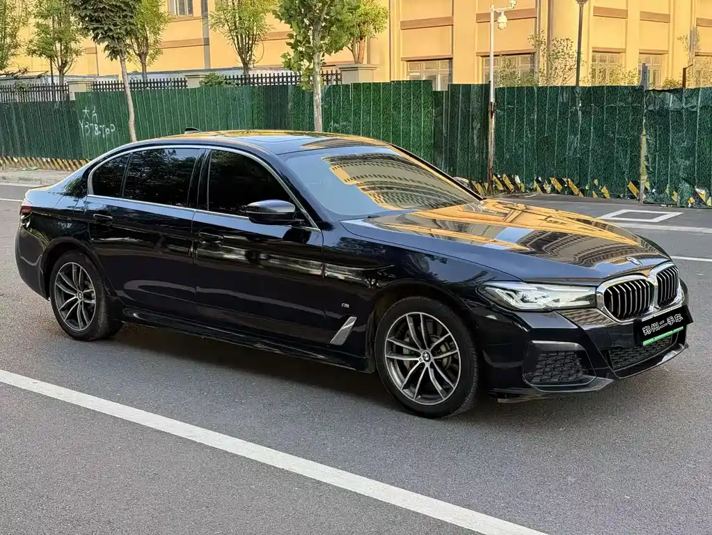 BMW 5 Series New Energy 2021