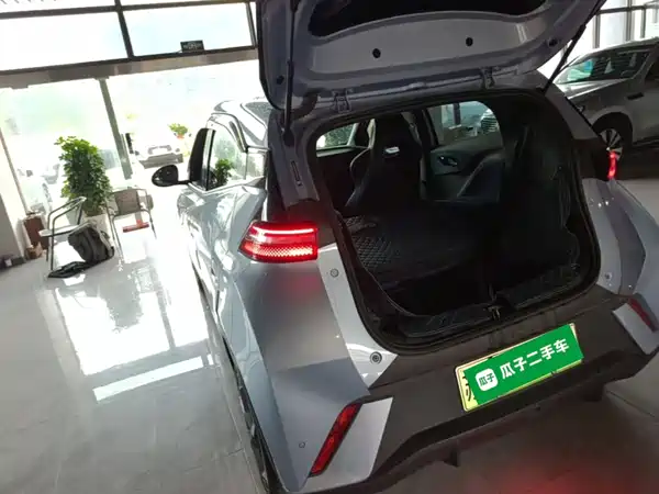 BYD Seagull 2024